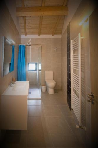 a bathroom with a toilet and a sink and a shower at Beirais do Alvão in Vila Real