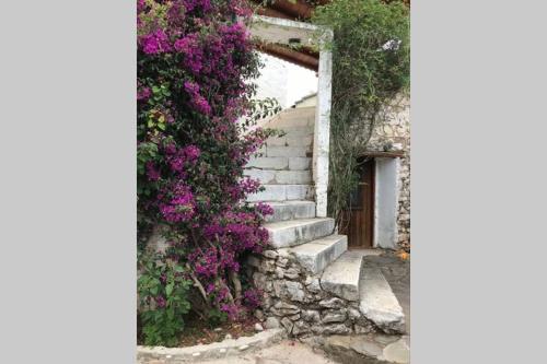a bunch of purple flowers on a building with stairs at Traditional Stone House in Eastern Mani in Flomokhórion
