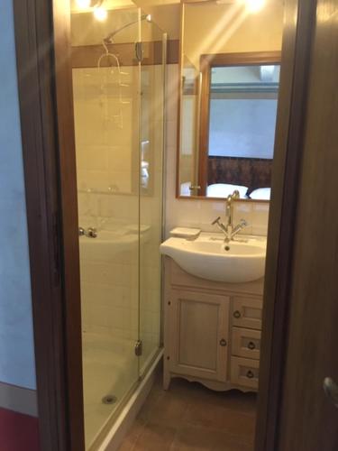 een badkamer met een douche, een wastafel en een spiegel bij B&B Locanda Toscanini in Cetona