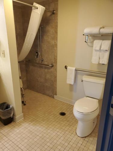 a bathroom with a toilet and a shower at AmericInn by Wyndham Rice Lake in Rice Lake