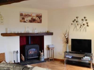 a living room with a fireplace and a tv at The Granary in Swansea