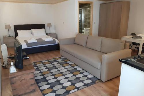 a living room with a couch and a bed at Aurora Papas in Provesende