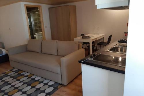 a living room with a couch and a kitchen at Aurora Papas in Provesende