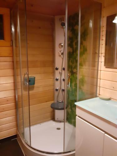 a shower with a glass door in a bathroom at Casa de Sao Joao in Gandarela