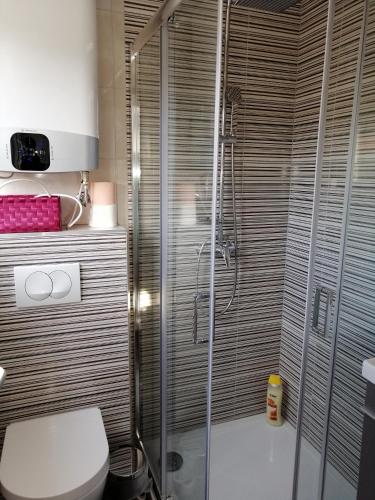 a bathroom with a toilet and a glass shower at Apartment Mery in Trogir
