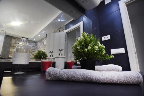 une salle de bains aux murs bleus et un comptoir avec des plantes dans l'établissement TASOS, à Belgrade