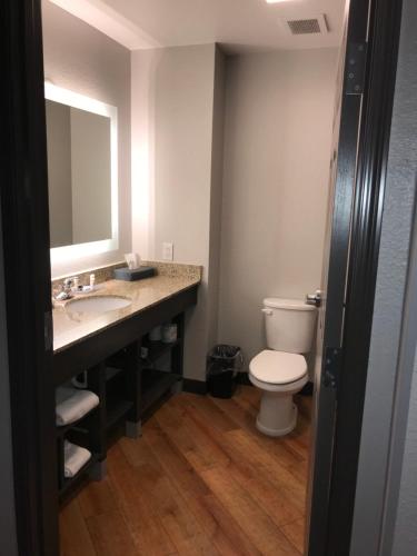 a bathroom with a toilet and a sink and a mirror at La Quinta by Wyndham Abilene Mall in Abilene