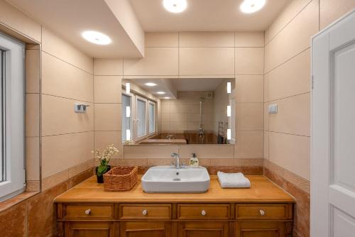 a bathroom with a sink and a mirror at Das Wiesenhaus: Wohnen direkt am Rhein in Cologne