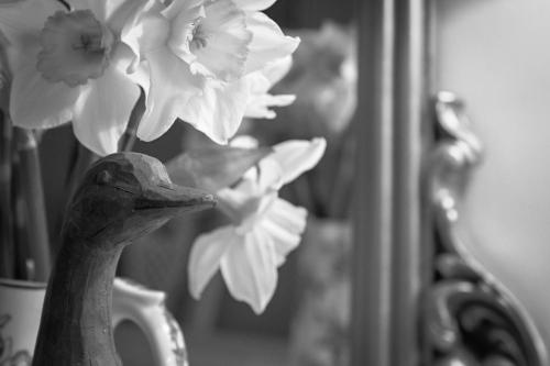 a vase filled with flowers in front of a mirror at Puddle Duck Lodge – Adults Only in Bowness-on-Windermere