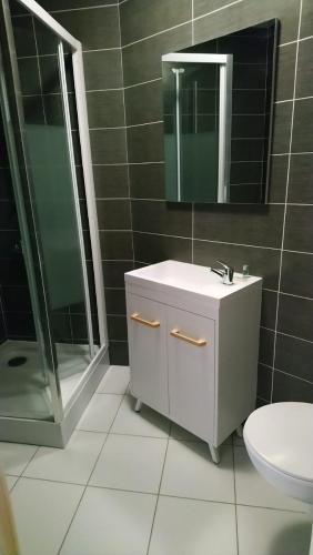 une salle de bain avec un lavabo, une douche et des toilettes dans l'établissement Appartement du Pompidou, à Metz