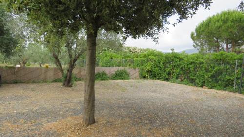 Imagen de la galería de APPARTAMENTI Il rosmarino, en Castiglione della Pescaia