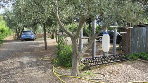 Imagen de la galería de APPARTAMENTI Il rosmarino, en Castiglione della Pescaia