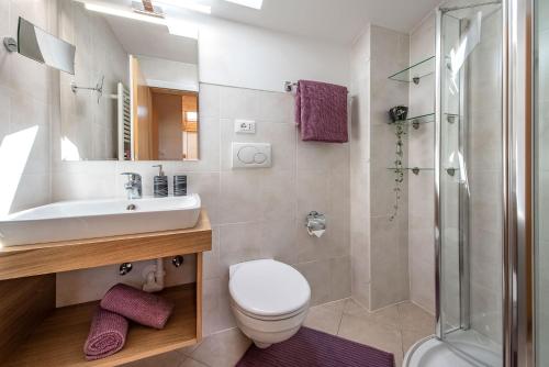 ein Bad mit einem WC, einem Waschbecken und einer Dusche in der Unterkunft Living Puez in Villnöss