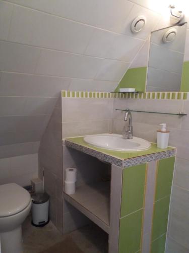 a bathroom with a sink and a toilet at La Maison Jaune à 12min du ZooParc de Beauval 2-6pers in Lye