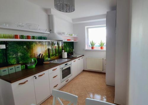 Una cocina con gabinetes blancos y encimera. en Apartament Jeleń, en Hajnówka