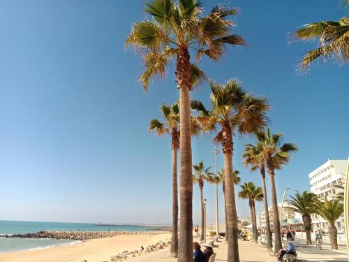 a group of palm trees on a beach at Nautic in Quarteira