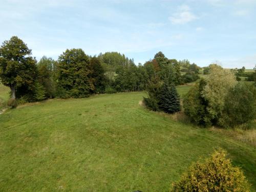 a large grassy field with trees in the background at Apartmány NIVA in Široká Niva
