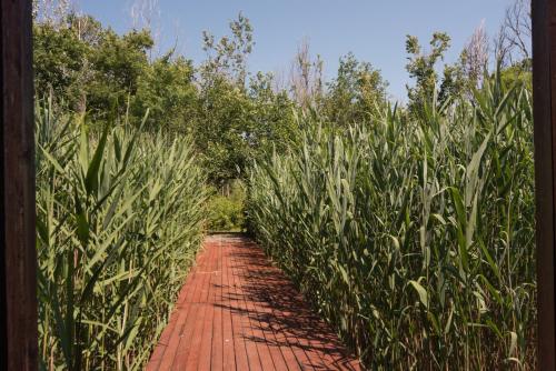 Fotografie z fotogalerie ubytování Rudovic River House v destinaci Ulcinj