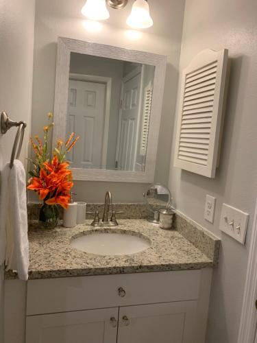 bagno con lavandino e specchio di Zen Oasis a Tampa