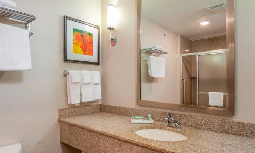 Kylpyhuone majoituspaikassa Holiday Inn Stevens Point - Convention Center, an IHG Hotel