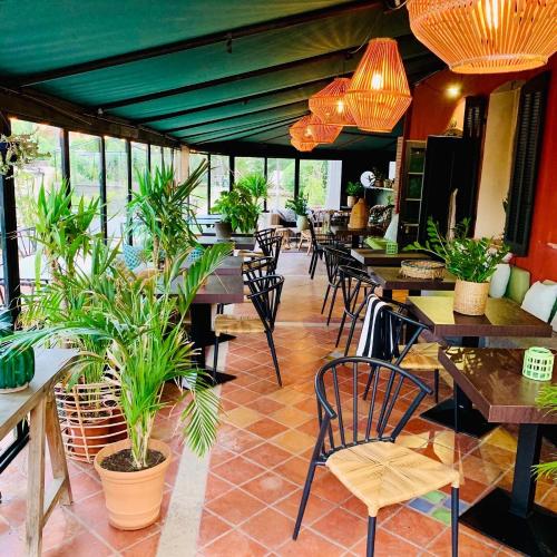 um restaurante com mesas e cadeiras e vasos de plantas em Le Jardin d'Emile em Cassis