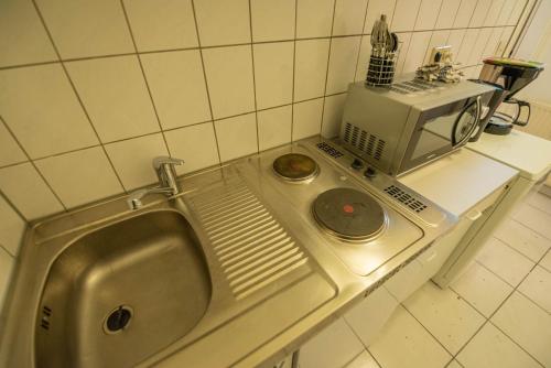 eine Küchentheke mit Spüle und Mikrowelle in der Unterkunft 55m² 2 Zimmer-Monteurswohnung mit 4 einzelnen Betten in Nieder-Saulheim
