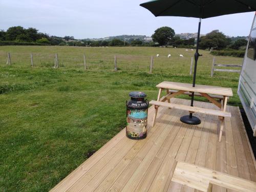 Ein Garten an der Unterkunft Cwtch Winnie Shepherd's Hut- Pen Cefn Farm Holiday
