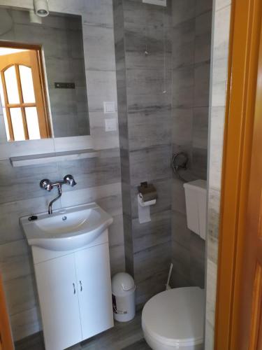 a bathroom with a sink and a toilet at Trzech Koron 16 in Sromowce Wyżne