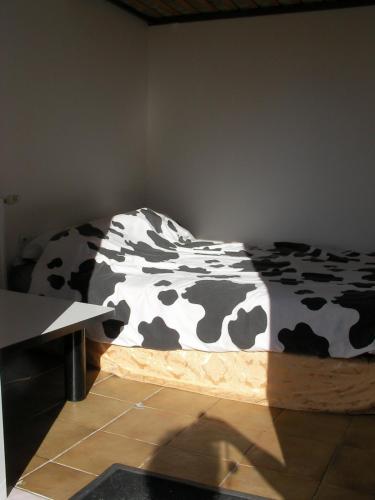 貝爾福的住宿－studette indépendante，一张床上,上面有一条黑色和白色的毯子,上面有牛