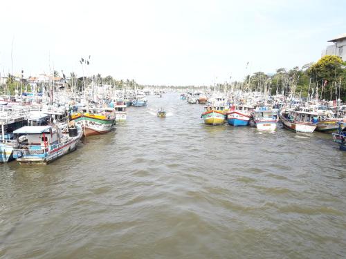 a bunch of boats are docked in a harbor at The Max Villa in Negombo