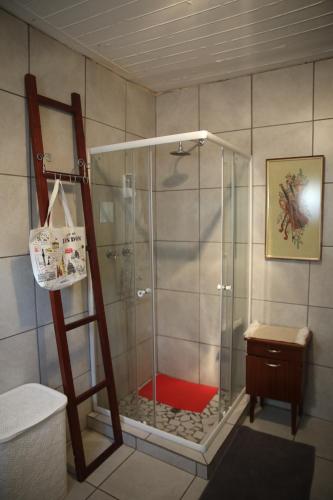 a shower with a glass door in a bathroom at Eagle's Nest in Barberton