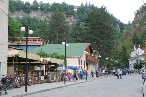 a group of people walking down a street in a town at Borjomi Central Park Apartment in Borjomi