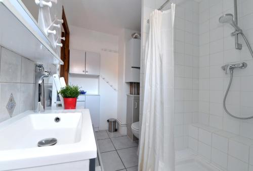 a white bathroom with a sink and a shower at Appartement La Grande Terrasse du Centre in Colmar