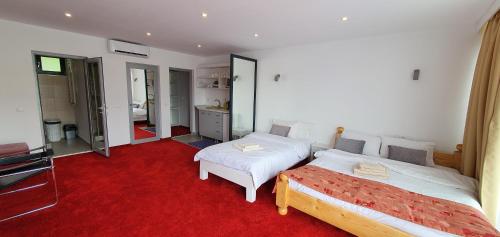 a bedroom with two beds and a red carpet at Modern rooms Colibita in Colibiţa