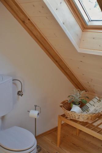 a bathroom with a toilet and a skylight at Apartma 10th Mountain, Bovec in Bovec