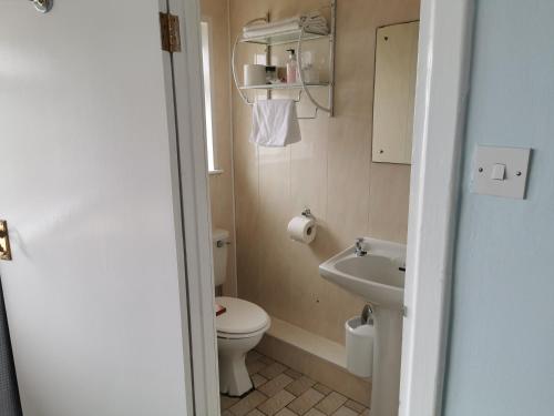 a small bathroom with a toilet and a sink at Horizon View Lodge Bed and Breakfast Glanleam Road Knightstown Valentia Island County Kerry V23 W447 Ireland in Valentia Island