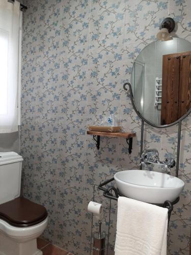 y baño con lavabo, aseo y espejo. en Casa Rural "Los Aperos", en Herrera del Duque