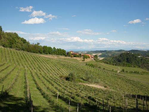 Tenuta Tenaglia – Photos 4