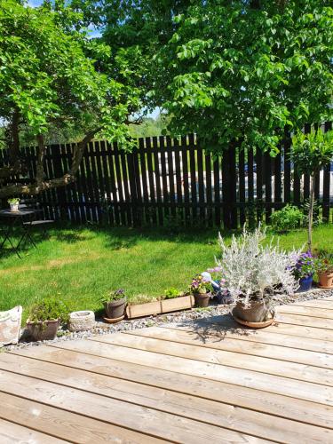 a wooden deck with a bunch of potted plants on it at Pegasus Bed & Breakfast in Hillerød