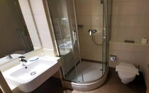 bagno con doccia, lavandino e servizi igienici di Apartments Villa Loznica a Brela