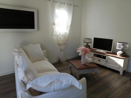 ein Wohnzimmer mit einem weißen Sofa und einem TV in der Unterkunft La perle des Alpilles Résidence les MYRTILLES in Eyguières