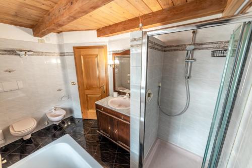 a bathroom with a shower and a toilet and a sink at Appartamento Casa Brigadoi in Predazzo
