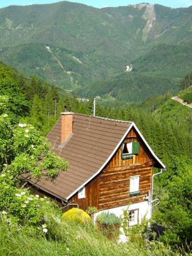 a wooden house on a hill with mountains in the background at Romantische Ferienhütte Nationalpark Kalkalpen, sonnig, 2 Schlafzimmer, Wlan in Kleinreifling