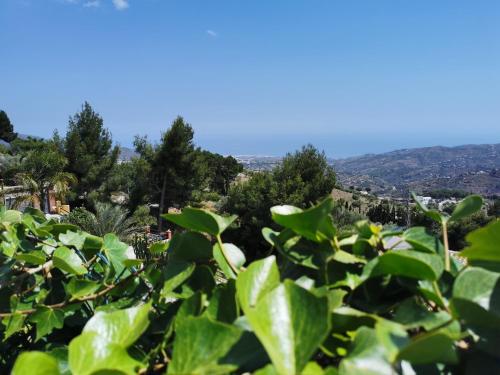 a view of the hills from behind some plants at Casa Ayo in Frigiliana