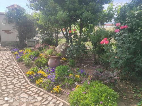 a garden with many different flowers and plants at Finca La Calancha in Cuerva