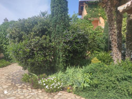 a garden with flowers and plants in front of a building at Finca La Calancha in Cuerva