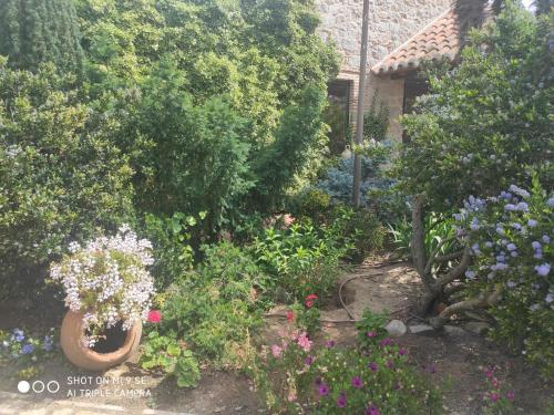 a garden with flowers and plants in front of a house at Finca La Calancha in Cuerva