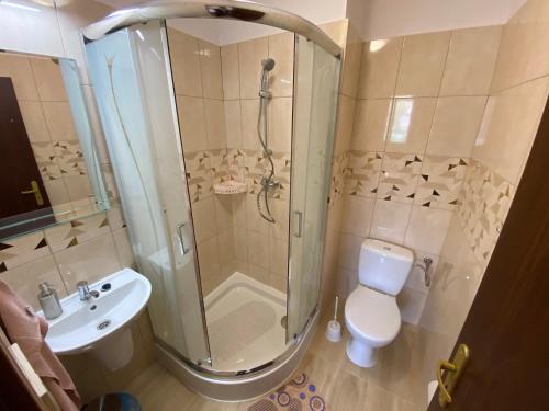 a bathroom with a shower and a toilet and a sink at Penzion Zuzka in Krásnohorská Dlhá Lúka