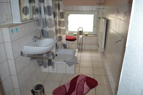 a small bathroom with a sink and a window at Am Klostergarten in Heilbad Heiligenstadt