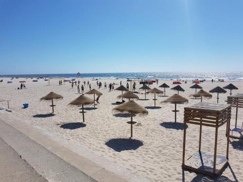 a group of umbrellas on a beach with people at See U Inn in Torreira